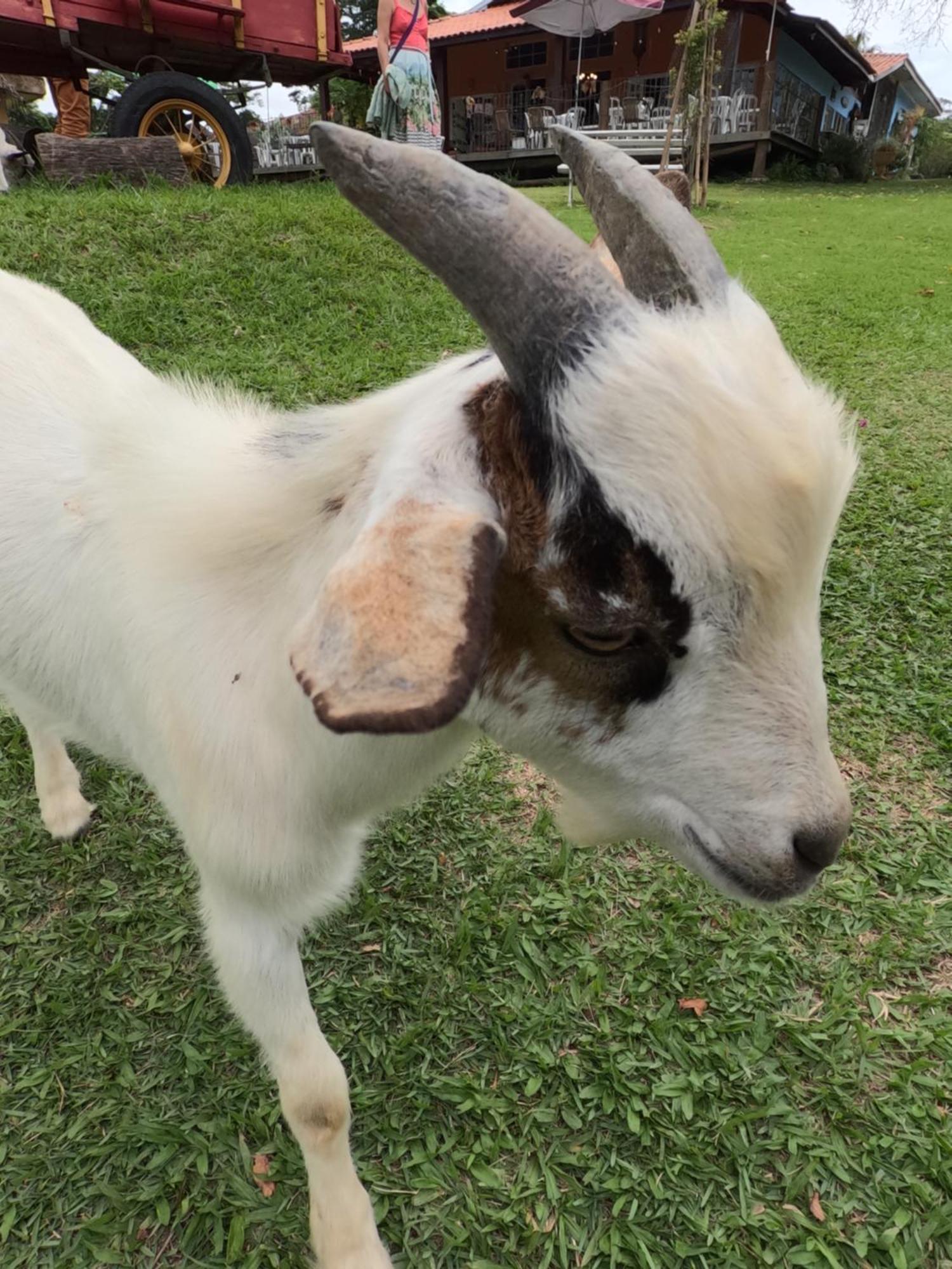Aldeia Parque Pousada Rural Sao Roque  Bagian luar foto