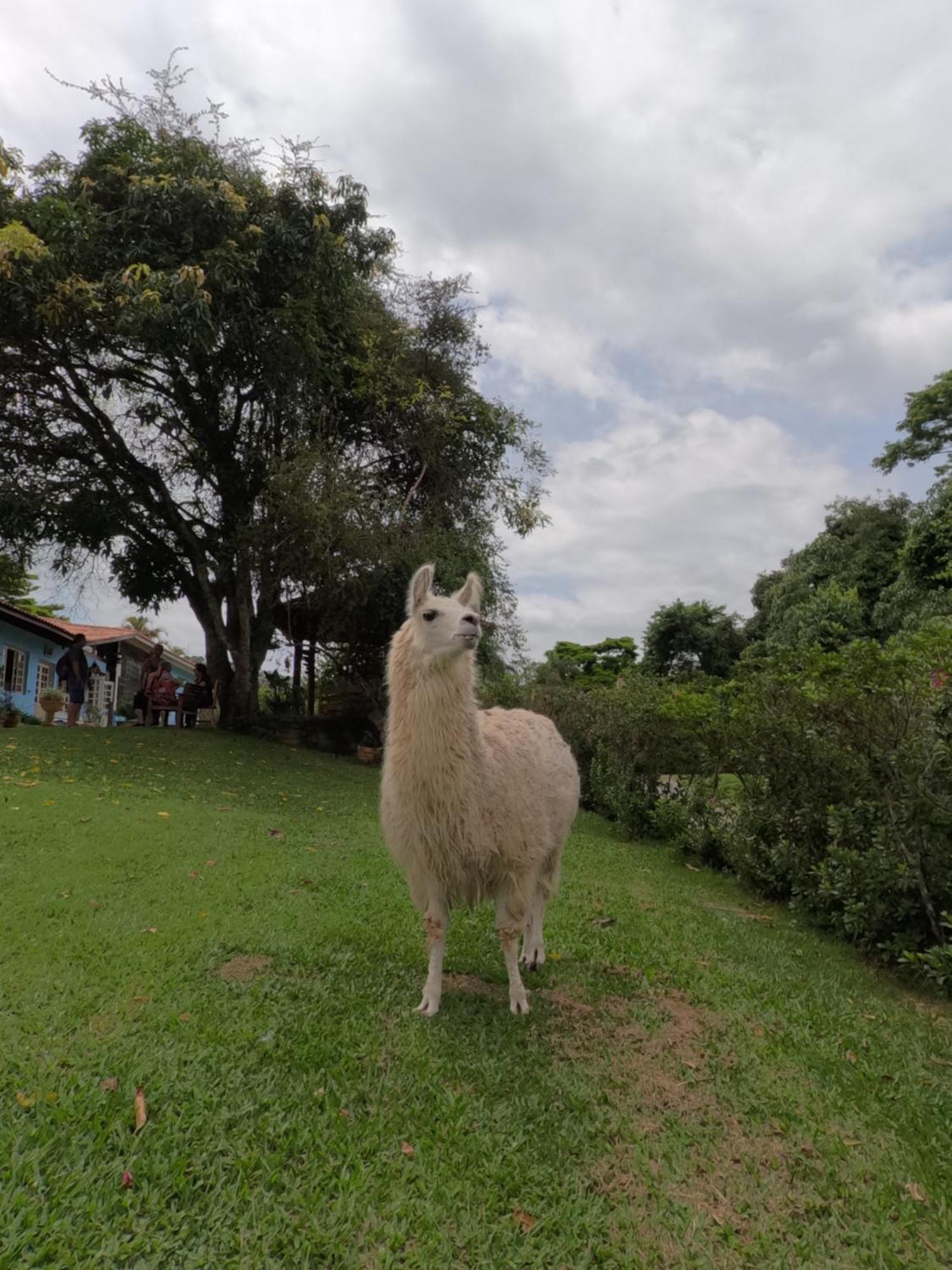 Aldeia Parque Pousada Rural Sao Roque  Bagian luar foto