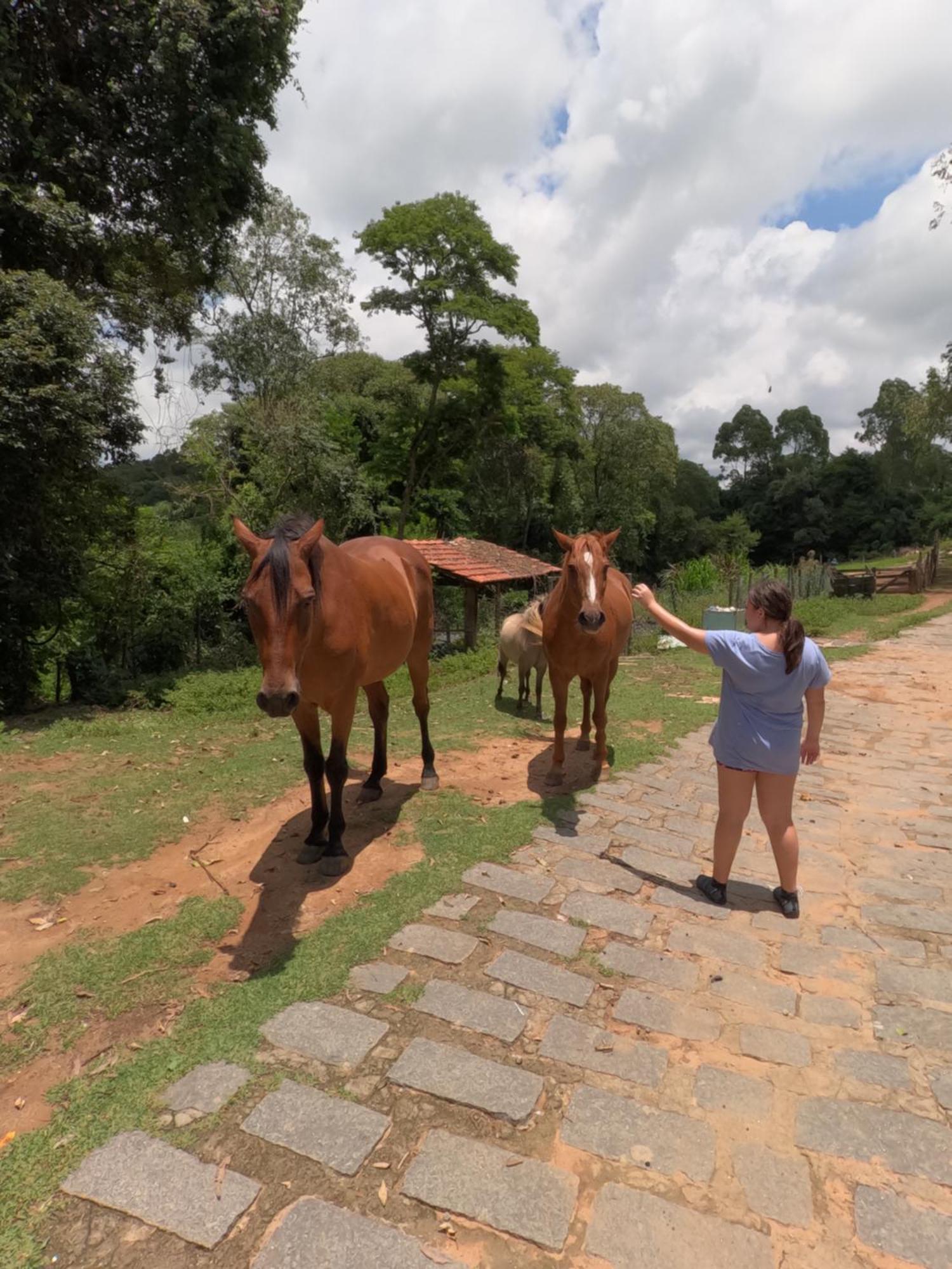 Aldeia Parque Pousada Rural Sao Roque  Bagian luar foto