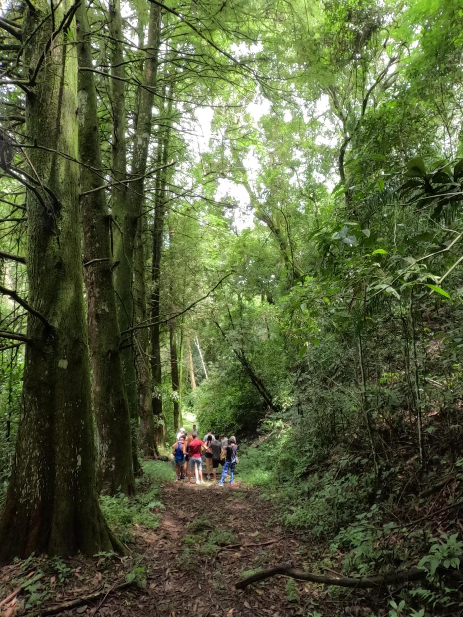 Aldeia Parque Pousada Rural Sao Roque  Bagian luar foto